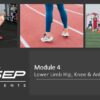 Module 4 - Injuries to the Hip/Knee/Ankle